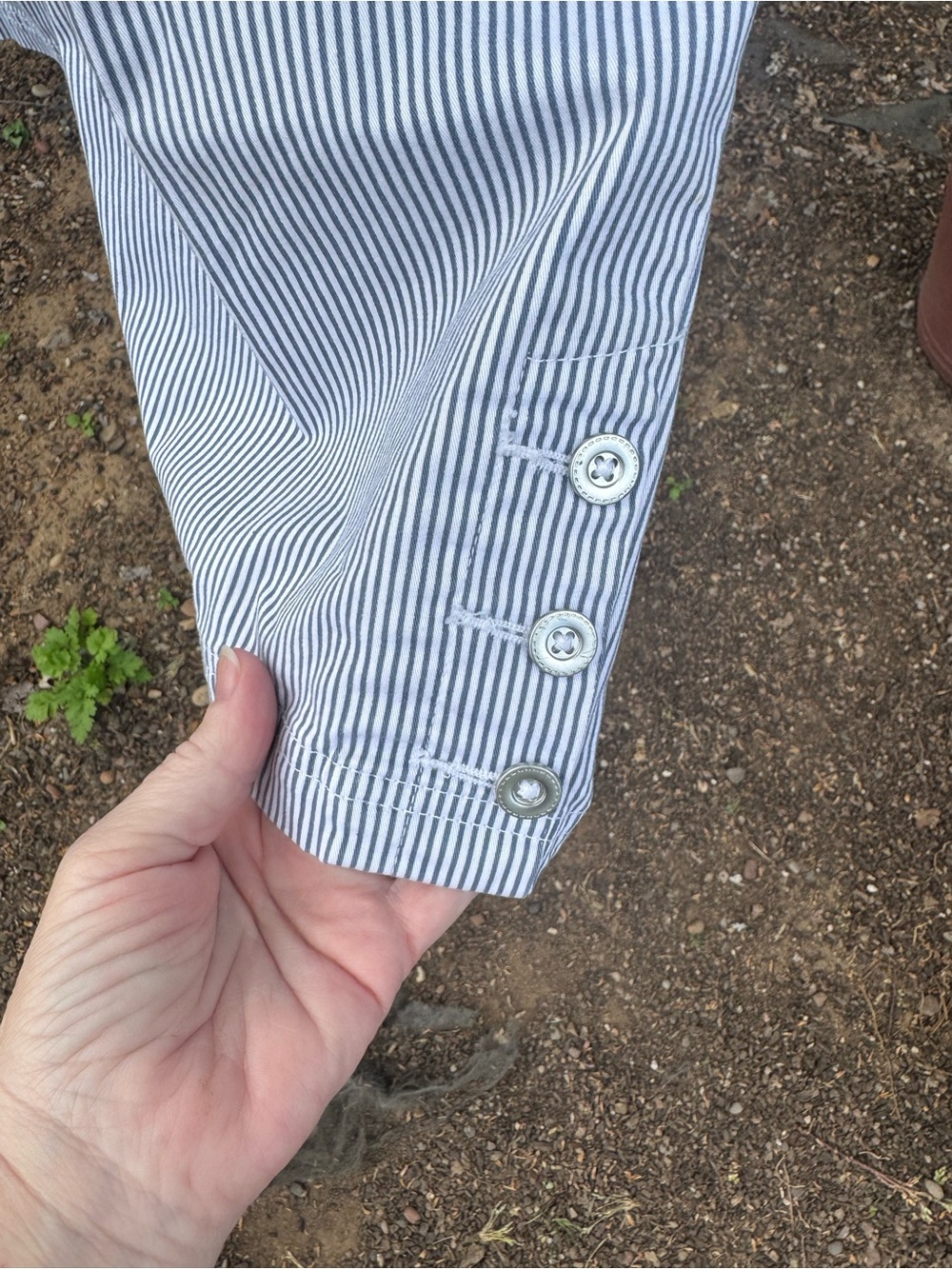 Karen Scott Blue and White Striped Capris with Button Cuffs - Picture 2 of 13